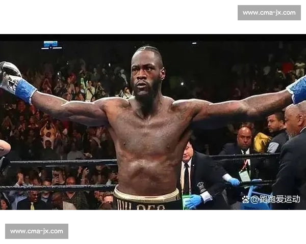 波维特金与维尔德世纪对决 谁将成为拳坛王者的继承人